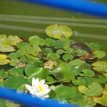 Hotell Petit Cala Fornells